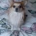 Debbie Ness - Facebook
