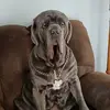 Debbie Neumann - @debbie.neumann1 - TikTok