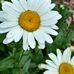 Debra Neumann - Facebook