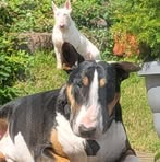 Debbie Newman - Facebook