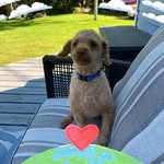 Debbie Nickerson - @campergirl55 - Instagram