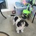 Debbie Obrien - Facebook