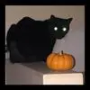 Debbie Obrien - @debbie.obrien6 - TikTok