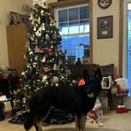 Debbie Ogden - Facebook