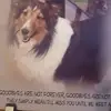 debbieogden4 - @debbieogden4 - TikTok