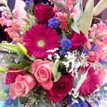 Debbie Olson - @olson9173 - Instagram