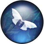 Debbie Overstreet - @debbieoverstreet6672 - Instagram