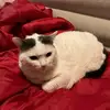 Debbie Owens - @debbieowens - TikTok