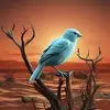 Debbie Page - @debbie.page47 - TikTok