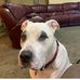 Debbie Pardue - Facebook