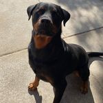 Debbie L Parent - @sea_star_79 - Instagram