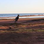 Debbie Parent - @debbie.parent.52 - Instagram