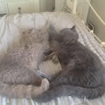 Debbie Parry - @debbie.parry.9085 - Instagram