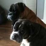 Debbie Partridge - @partridgedebbie16 - Instagram