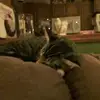 Debbie Partridge - @debbie.partridge - TikTok