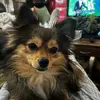 Debbie Paschall - @debbie.paschall - TikTok