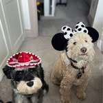 Debbie Pascoe - @debbiepascoe64 - Instagram