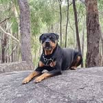 Debbie Pascoe Mortimer - @msdeb_56 - Instagram