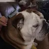 Debbie Passaretti - @debbiepassaretti - TikTok