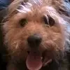 Debbie Paterson - @debbie2676 - TikTok