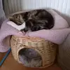 Debbie Paterson - @debbiepaterson47 - TikTok