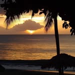 Debbie Patrick - @debbie.patrick.146 - Instagram