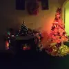 Debbie Patrick - @user8105861303563 - TikTok