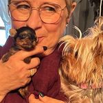 Debbie Paulsen - @paulsen6127 - Instagram