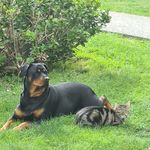 Debbie Paulsen - @debbiedale.paulsen - Instagram