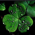 Debbie Weaver Paulsen - @irish_angel222 - Instagram