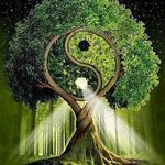MysticAngel Debbie Paulsen - @mysticangel_debbiepaulsen - Instagram