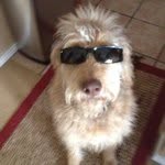 Debbie Payton - @debs2see - Instagram