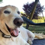Debbie Peace - @debpea424 - Instagram