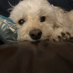 Debbie Peace - @debbiejnpeace - Instagram