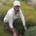 Debbie Peach - @debbiepeach57 - Instagram