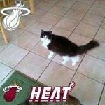 Debbie Peeples - @debbiepeeples - Instagram