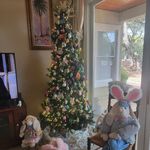 Debbie Peeples - @peeples_debbie - Instagram