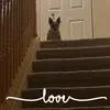 Debbie Peeples Gaffn - @debbiepeeplesgaff - TikTok