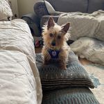 Debbie Peeples Gaffney - @debbiepeeplesgaffney - Instagram