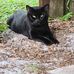 Debby Pellom - Facebook