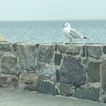 Debbie Pepper Lindberg - @debbiepepperlindberg - Instagram