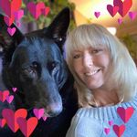 Debbie Peterman Jones - @coyotemustanggirl - Instagram