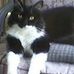 Deborah Peterman - Facebook