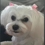 Debbie Peters Kendall - @dpkendall - Instagram