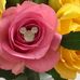 Debbie Phillippi - Facebook