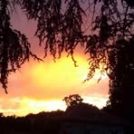 Debbie Roythorne Pigott - Facebook