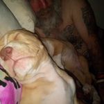 Debbie Pilcher - @debbiecakes830 - Instagram