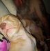 Debbie Pilcher - Facebook