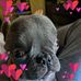 Debbie Mills Piper - Facebook