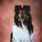 Debbie Plant - @debplant67 - Instagram